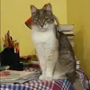 Отзыв от Эмма Островская